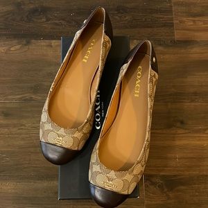 Coach Chelsea outline SIG C/CLF